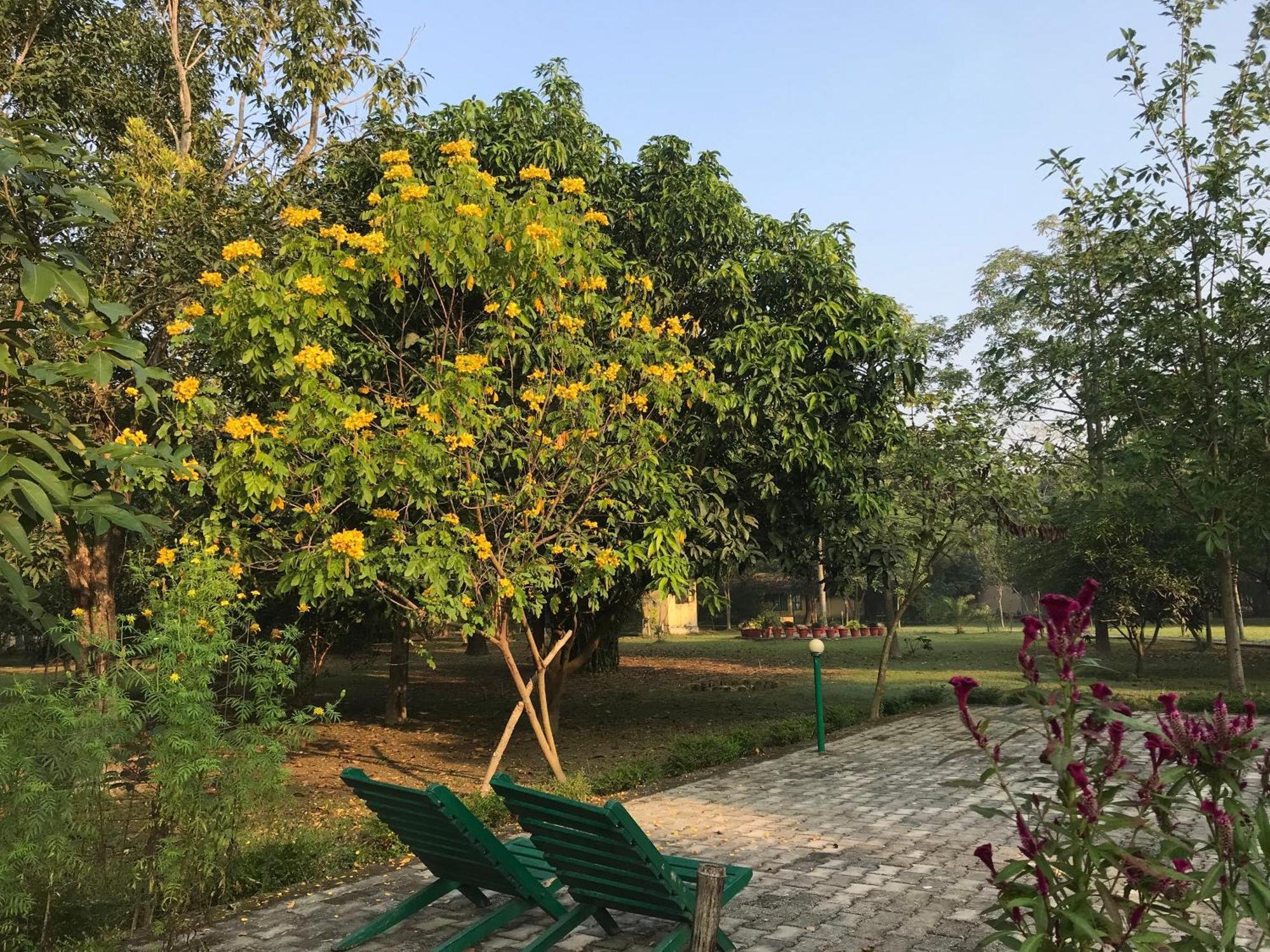 Lumbini Buddha Garden Resort Екстер'єр фото