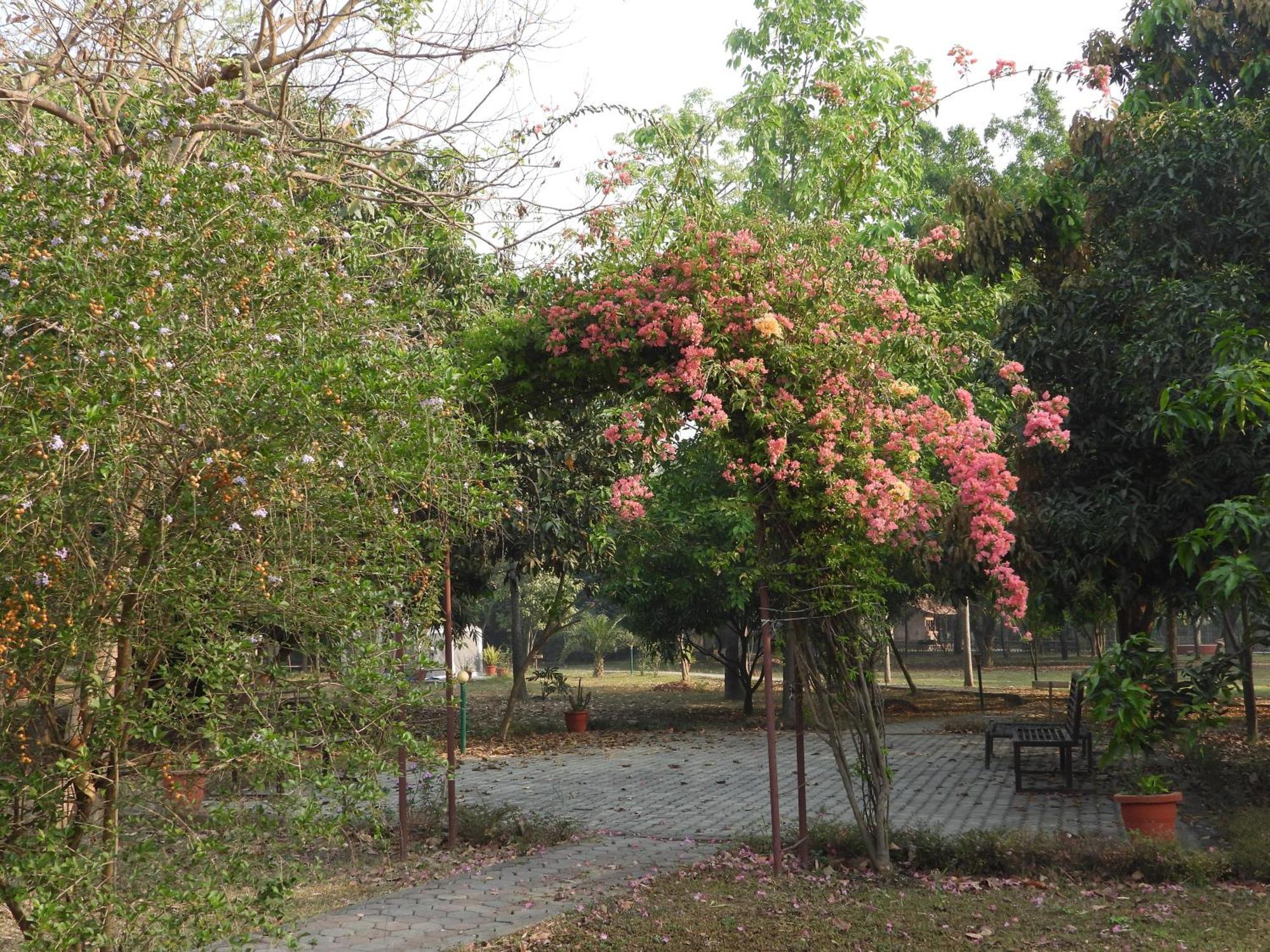 Lumbini Buddha Garden Resort Екстер'єр фото