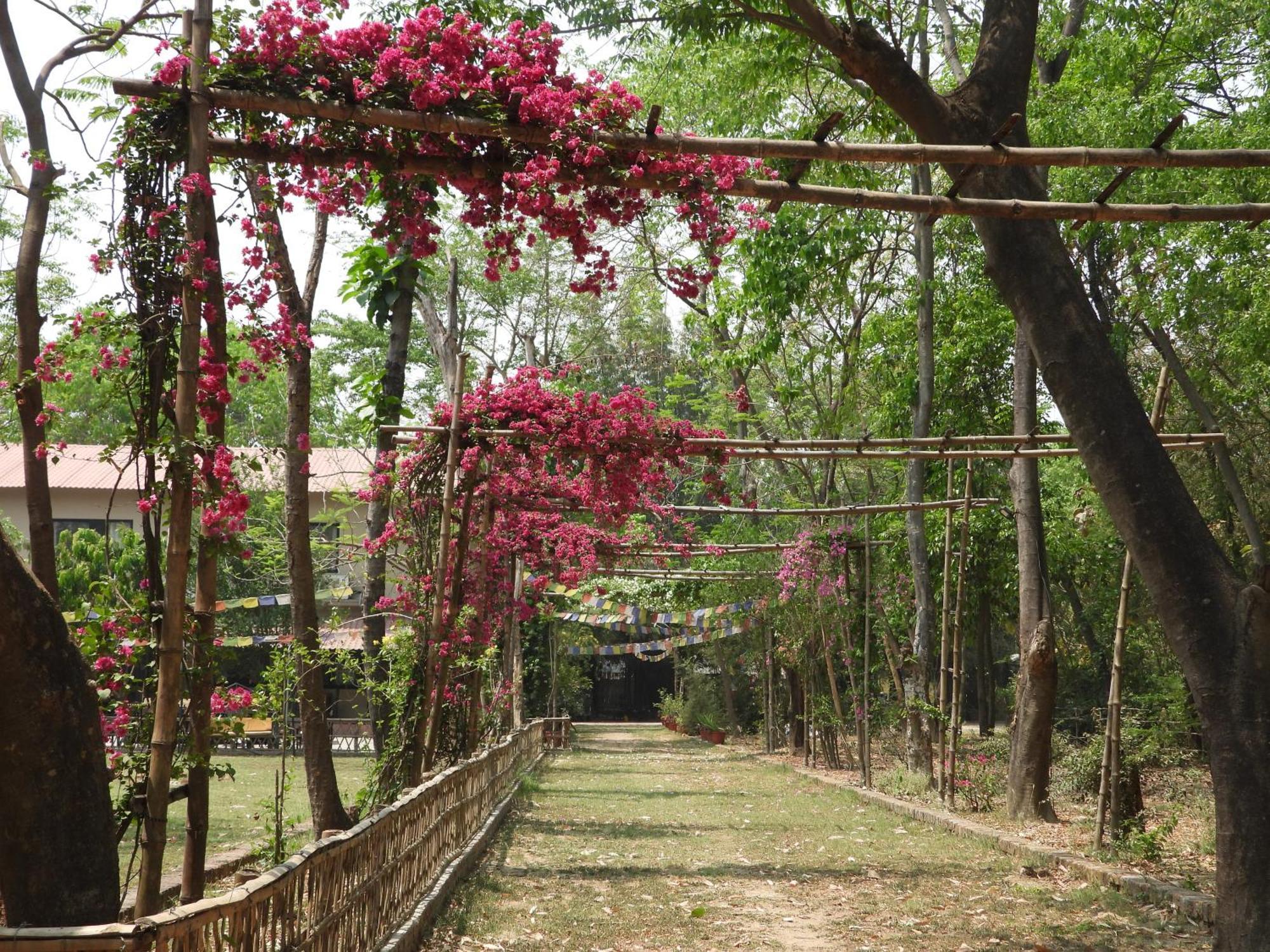 Lumbini Buddha Garden Resort Екстер'єр фото
